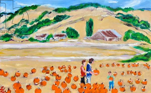 Picking a Pumpkin, Nicasio, 2018,