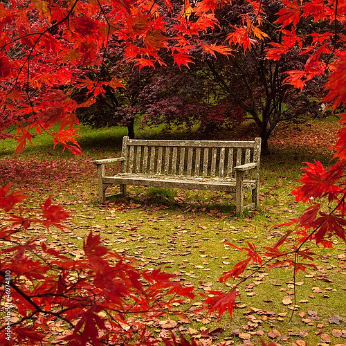 Осень в парке 3