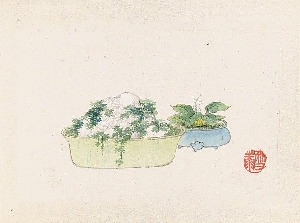 Bonsai kabenzu, Pl.10