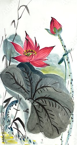 Китайский цветок лотоса 3