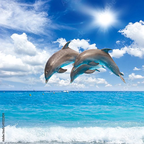 Три прыгающих дельфина