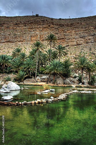 Оазис в пустыне Омана