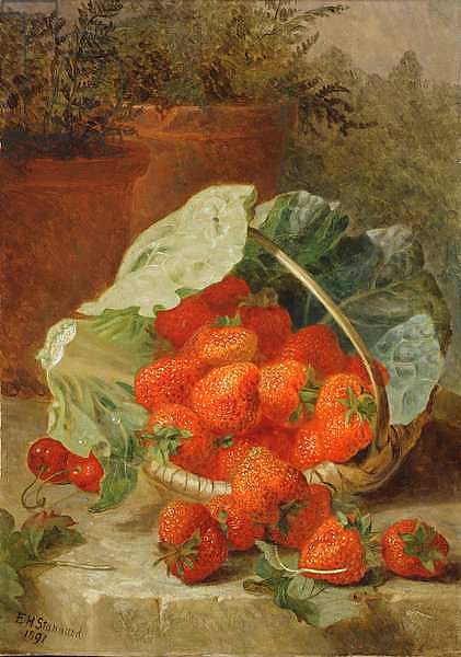 Strawberries in a cabbage leaf, 1891