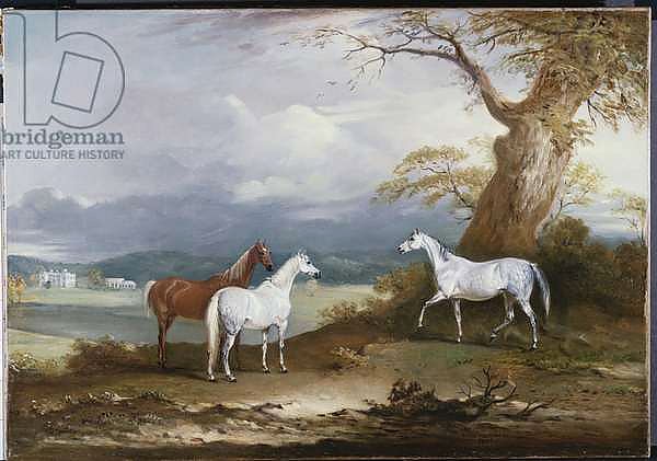 Lord Macdonald's Mares on the Grounds of Thorpe Hall, Rudston, Yorkshire, 1836