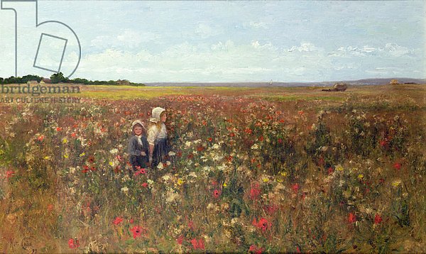 The Poppyfield, 1897