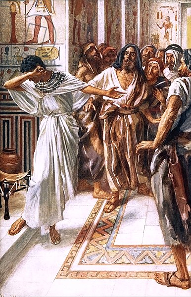 Joseph known to his brethren