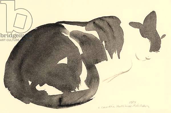 Sleeping cat, 1984