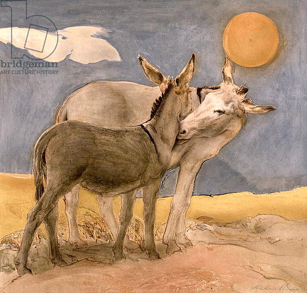 Donkeys, 1989