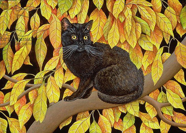 Autumn Leaves, 1994
