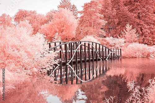 Мост на розовом озере
