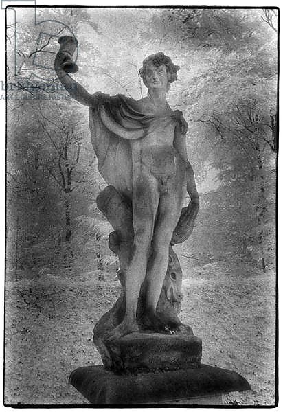 Sculpture of Bacchus
