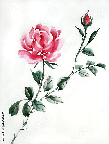 Красная китайская роза 2