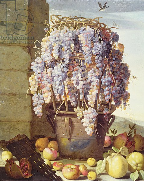 Still Life of Fruit and Grapes