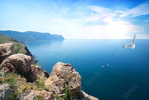 Постер Крым, чайка над морем