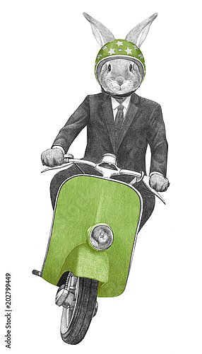 Кролик на скутере