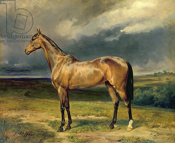 'Abdul Medschid' the chestnut arab horse, 1855