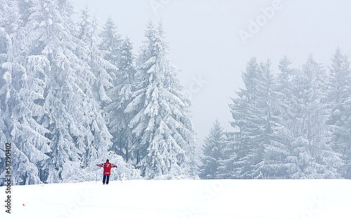 Лыжник в зимнем лесу