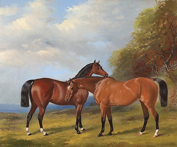 Две скаковые лошади