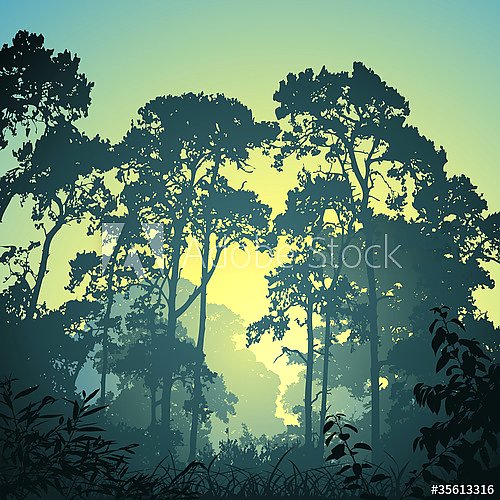 Лесной пейзаж с деревьями на рассвете
