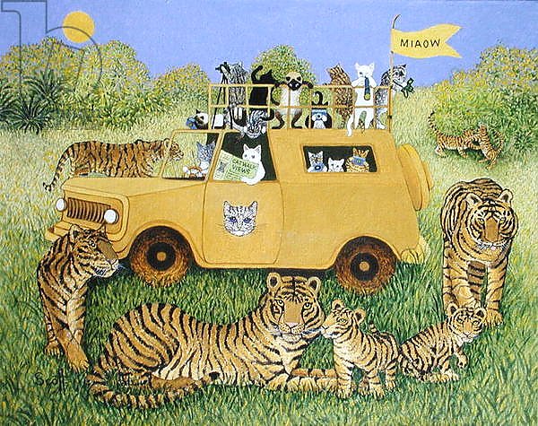 Cat Safari