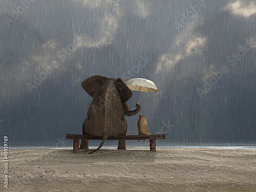 Слон и собака под зонтом