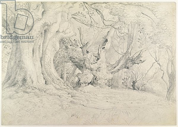 Ancient Trees, Lullingstone Park, 1828
