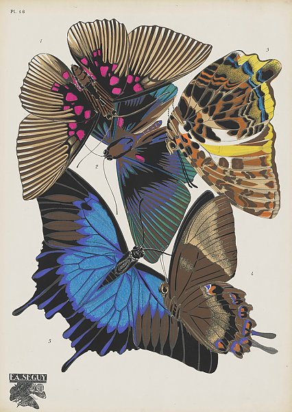 Papillons by E. A. Seguy №8