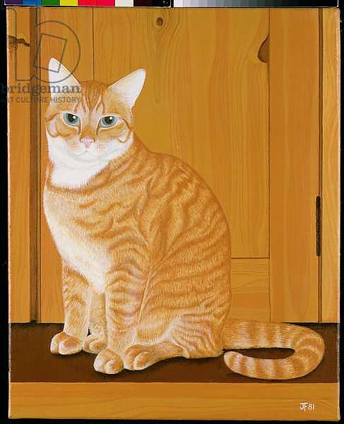 Marmalade cat by a door
