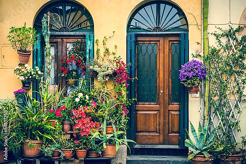 Италия, Тоскана. Дверь, окно, цветы