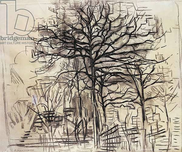 Study of trees, by Piet Mondrian, charcoal and white lead drawing. Netherlands, 20th century.