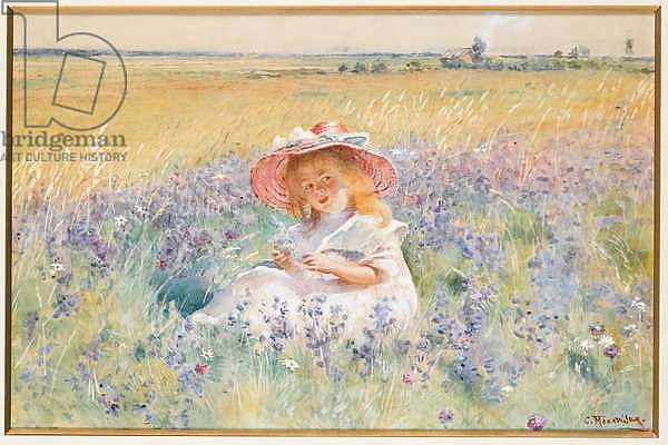 A Young Girl in a Field of Salvia, Oxeye Daisies and Meadow Foxtail,