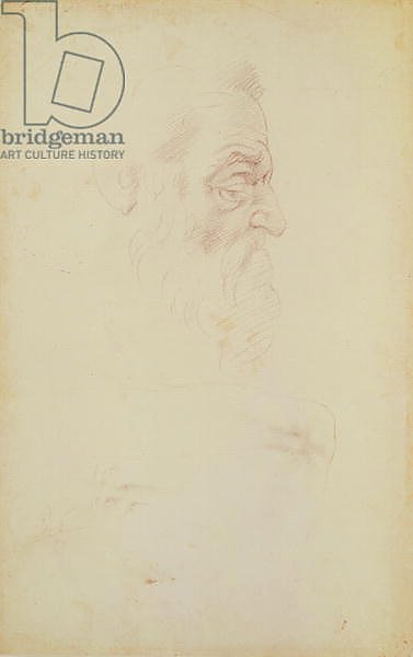 Sketch of a male head and two legs