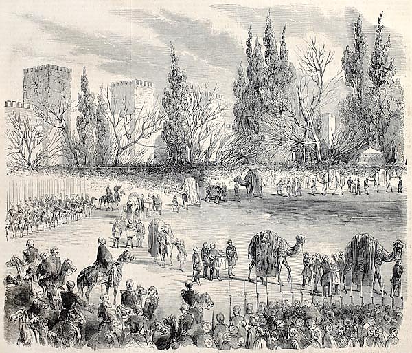 Sultan's camel caravan departing from Istanbul to Mecca. Original, from drawing of Blanchard, publis
