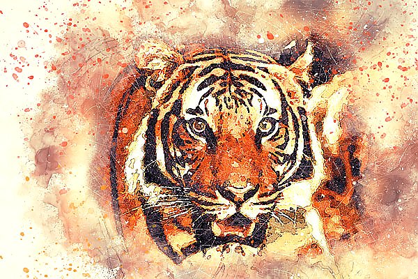 Акварельный портрет тигра