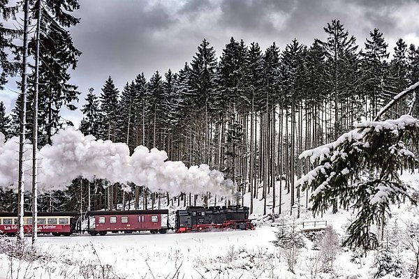 Паровой поезд в зимнем лесу