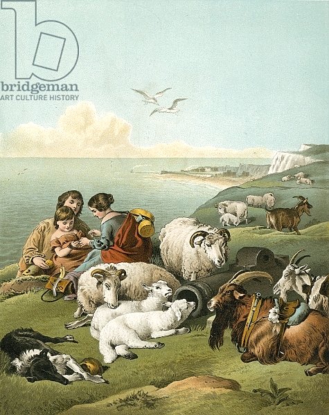 Children playing with sheep and goats on white cliffs