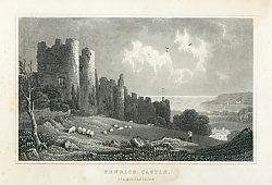 Постер Penrice Castle. Glamorganshire
