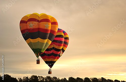 Воздушные шары на фестивале воздухоплавателей