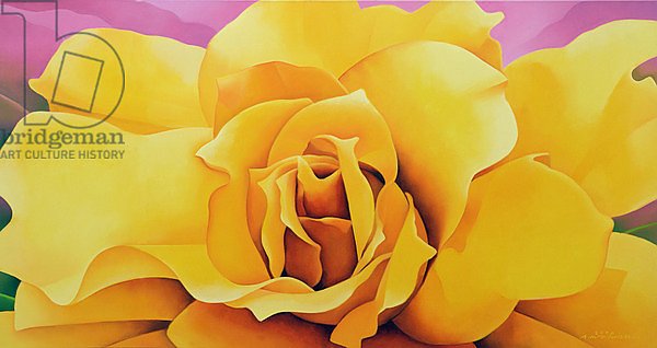 The Golden Rose, 2004