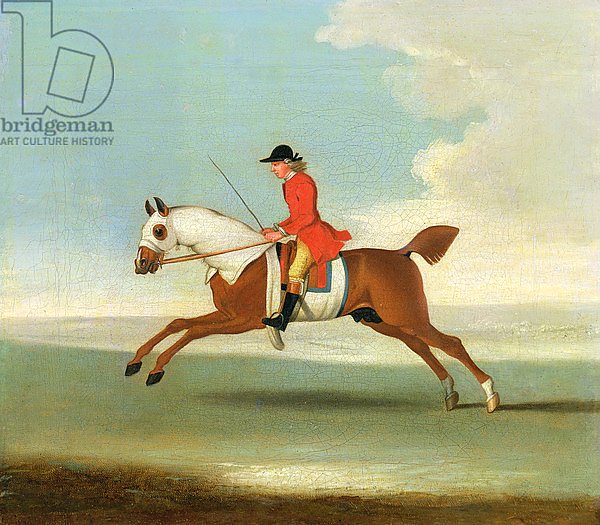 Galloping Racehorse and mounted Jockey in Red