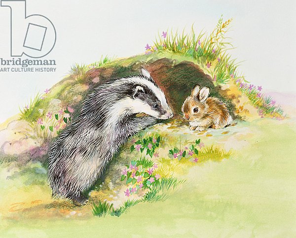 Badger and a Rabbit