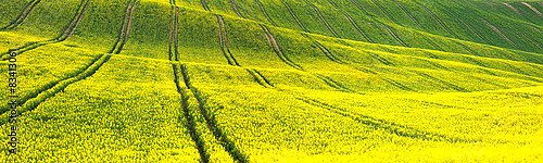Постер Чехия. Желто-зеленые поля Моравии