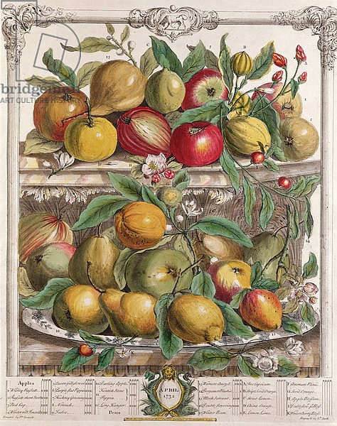 April, from 'Twelve Months of Fruits', by Robert Furber engraved by J. Clark, 1732