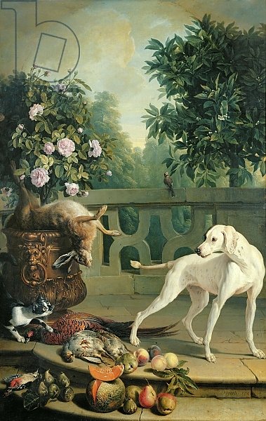 Animals, flowers and fruits