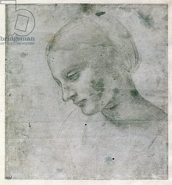 Head of a Young Woman or Head of the Virgin, c.1490