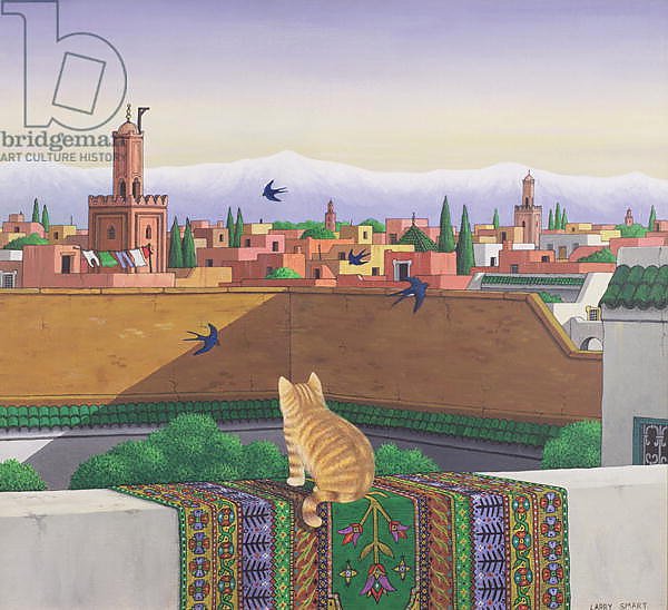 Rooftops in Marrakesh, 1989