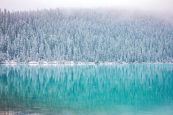Зимний лес, отражающийся в голубой воде