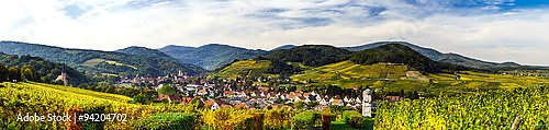 Франция, Эльзас. Панорама с виноградниками и деревней