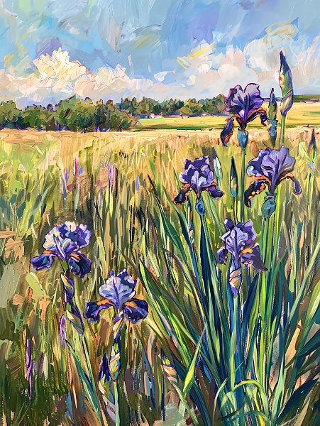 Irises on the edge of the field