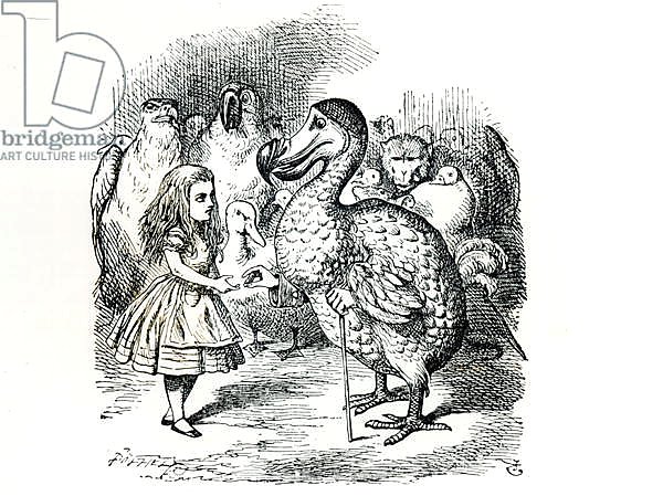 Alice meets the Dodo, illustration from 'Alice's Adventures in Wonderland', by Lewis Carroll, 1865